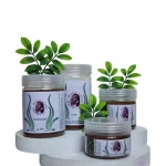 ماسک‌ پودری جلبک دریایی